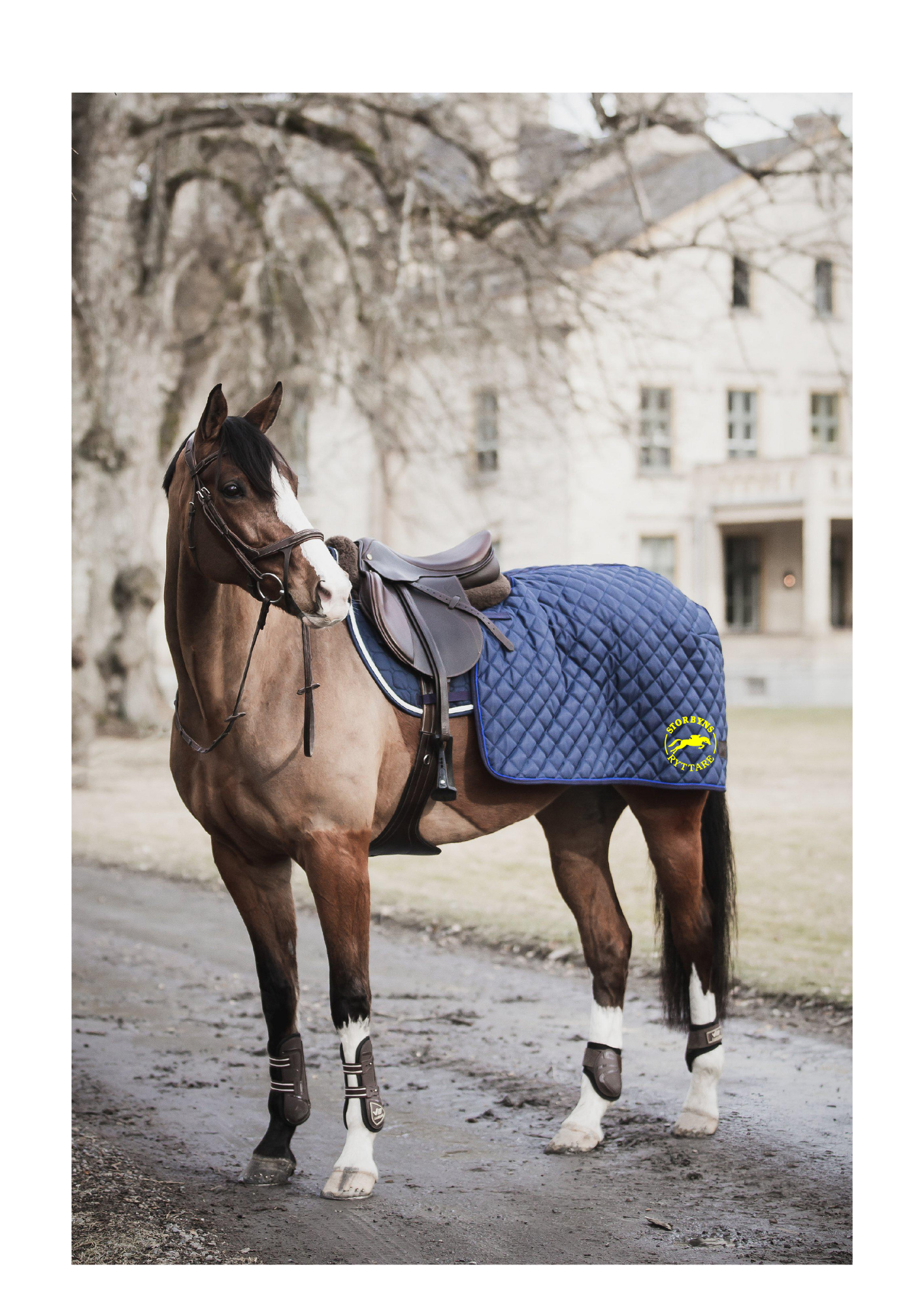 STORBYNS RYTTARE LIPPO LIPPO QUARTER RUG